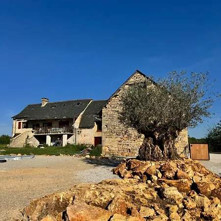 Bed and Breakfast Des Riders Loze